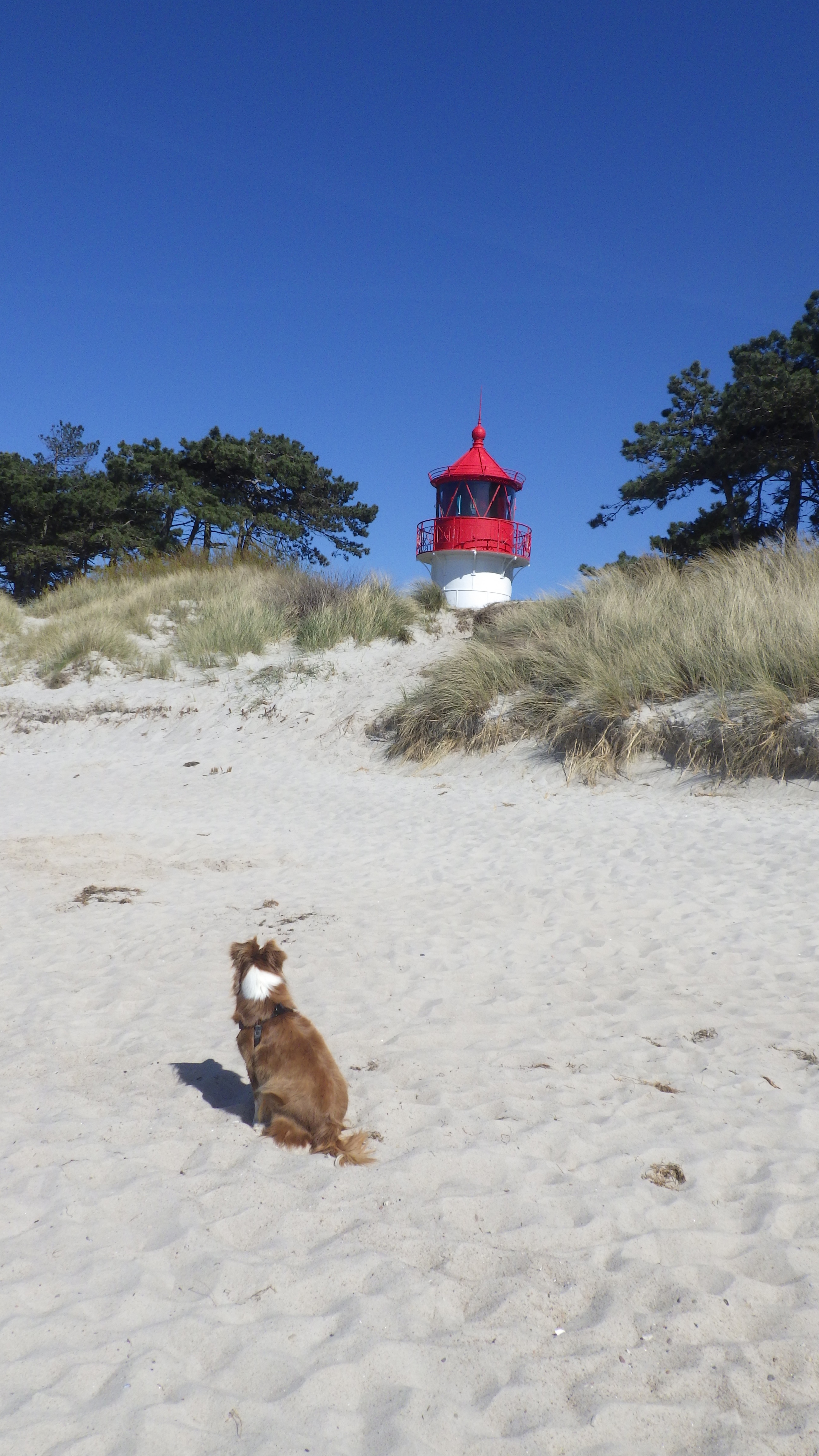 How we started - Balean founders story